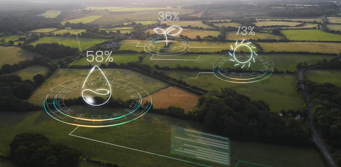 Nichvan | Tech in Agriculture: Iren's Digital Farming Evolution